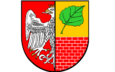 Informacja